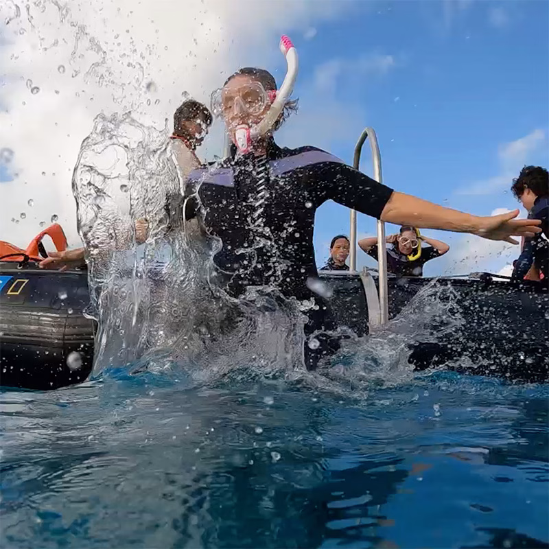 Karen Robinson Jumping into the Water Karen Robinson Jumping into the Water with snorkel gear on
